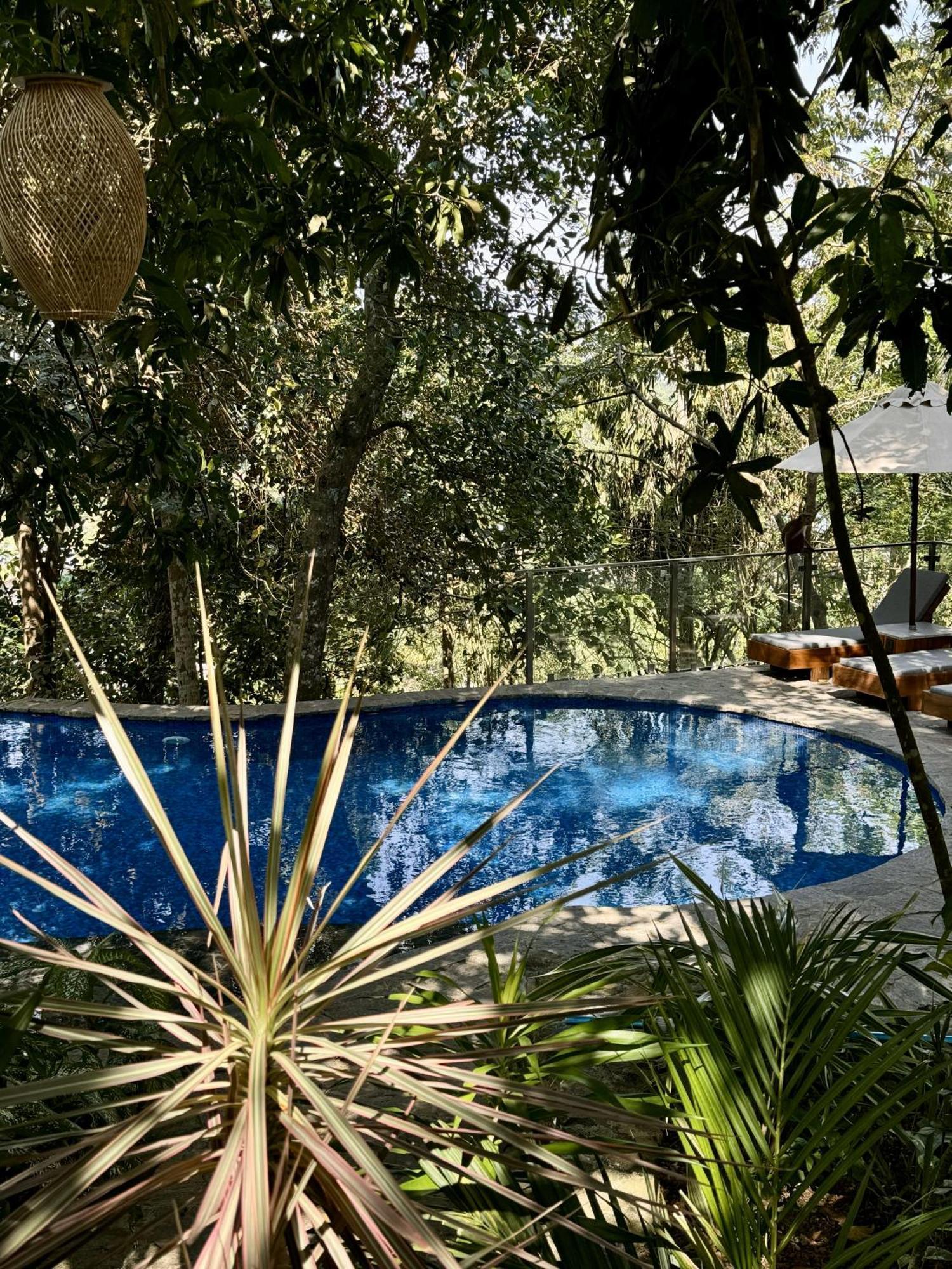 Coastline Mirissa Boutique Hotel And Spa Exteriör bild