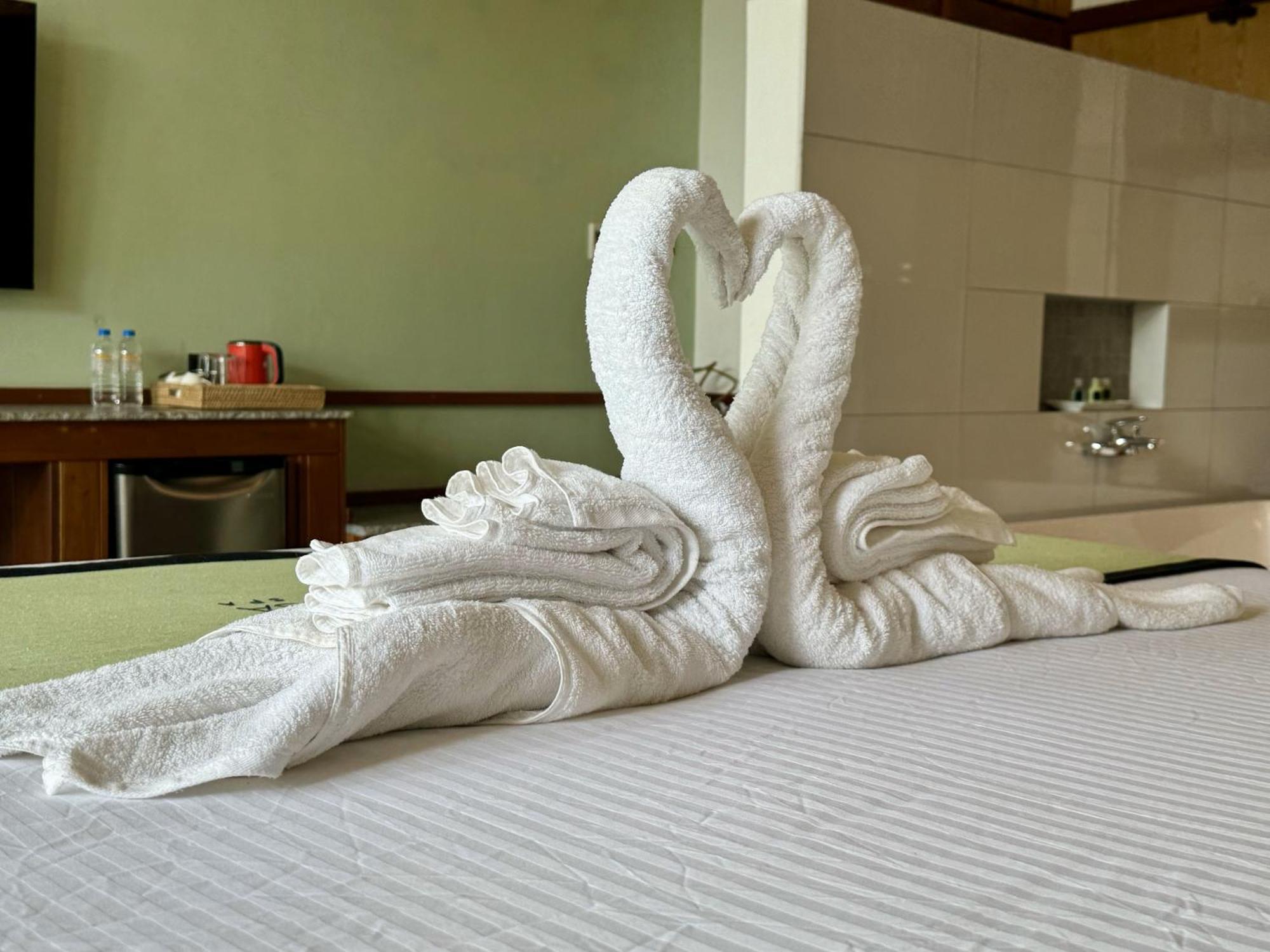 Coastline Mirissa Boutique Hotel And Spa Rum bild